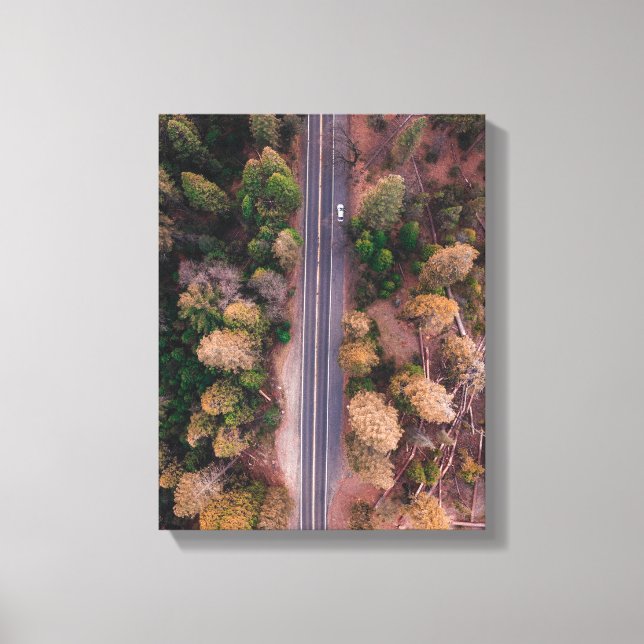 Impressão Em Tela fotografia da estrada no meio do ponto de vista do (Frente)