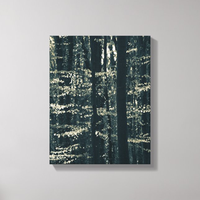 Impressão Em Tela Fotografia da floresta Beech (Frente)