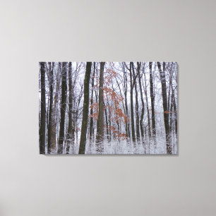 Impressão Em Tela Fotografia da Paisagem Invernal da Floresta Cobert