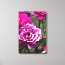 Impressão em tela Fotografia de belas rosas