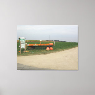 Impressão Em Tela Fotografia de Fazenda de Abóbora Amish na Parede