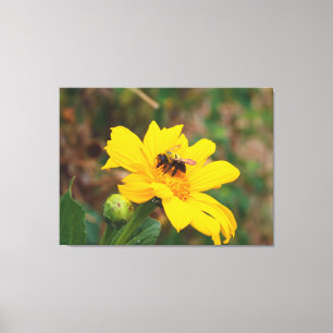 Impressão Em Tela Fotografia de Flor Brilhante Amarela sendo Poliniz