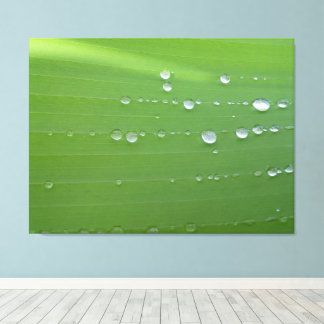 Impressão Em Tela Fotografia de Gotículas de Chuva em Folha Verde