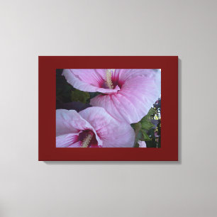 Impressão Em Tela Fotografia de Hibiscus Rosa