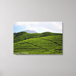 Impressão Em Tela Fotografia de Paisagem de Plantação de Chá Indonés