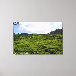 Impressão Em Tela Fotografia de Paisagem de Plantação de Chá Indonés