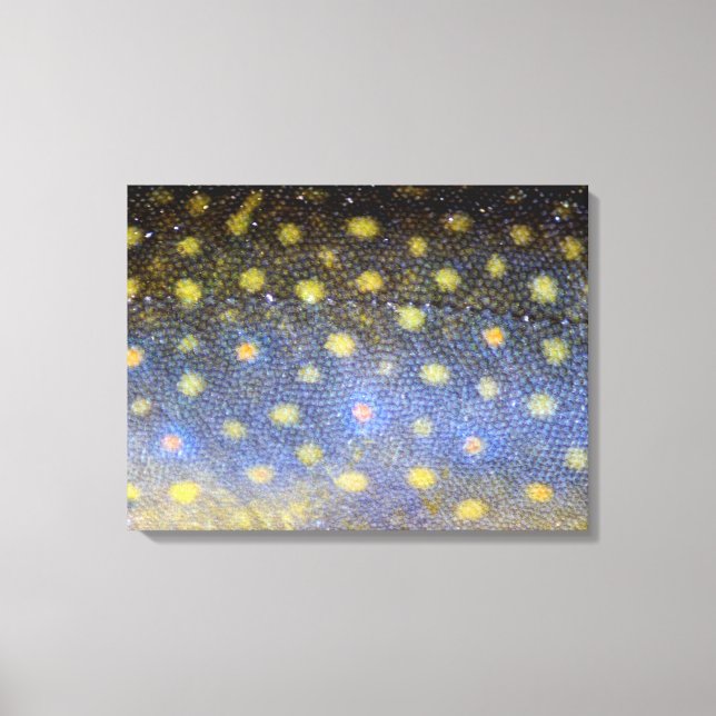 Impressão Em Tela Fotografia do Brook Trout Scales (Frente)