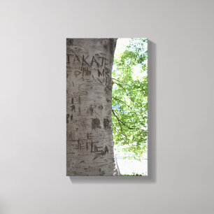 Impressão Em Tela Fotografia do Tree Central Park