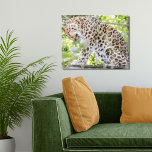 Impressão Em Tela Fotografia Dramática da Vida Selvagem Leopardo<br><div class="desc">Eu tirei esta fotografia de um magnífico leopardo no zoológico com minha lente de zoom de longe e ele não parecia se importar. Felizmente!</div>