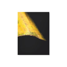 Fotografia Minimalista da Natureza Folha na Sombra