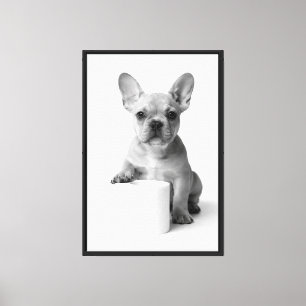 Impressão Em Tela Fotografia Minimalista de Cachorrinho Bulldog Fran