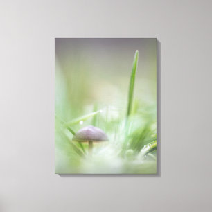 Impressão Em Tela Fotografia natural do cogumelo