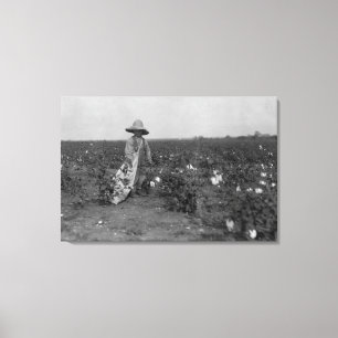 Impressão Em Tela Fotografia ocidental, Texas do algodão da colheit