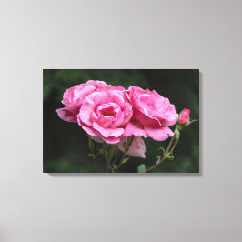 Impressão em Tela Fotografia Rosas Cor-de-Rosa