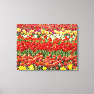 Impressão Em Tela Fotografia Tela Imprime Flores De Tulipas Florais