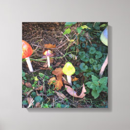 Impressão em Tela Fotográfica do Jardim Mágico de