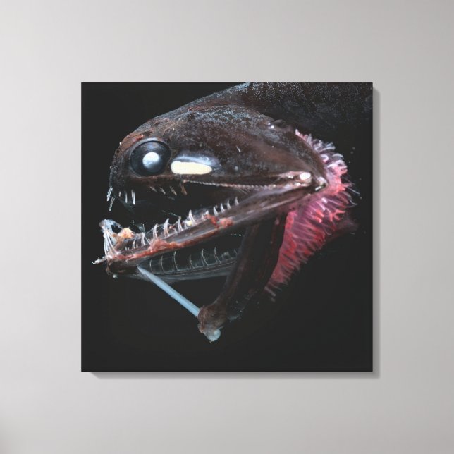 Impressão Em Tela Fotostomias Guernei (Frente)