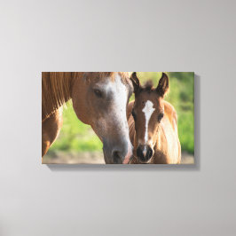 Impressão Em Tela Foul  | Zazzle_Growth.