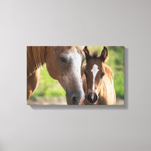 Impressão Em Tela Foul  | Zazzle_Growth. (Frente)