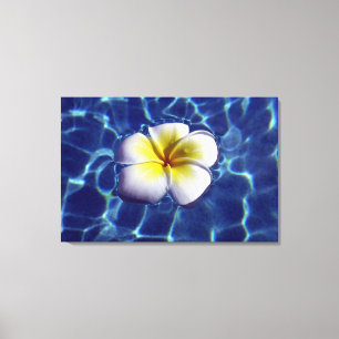 Impressão Em Tela FRANGI FLUTUANTE 24x36