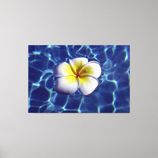 Impressão Em Tela FRANGI FLUTUANTE 40x60 (Frente)