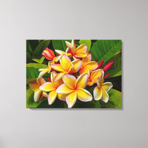 Impressão Em Tela Frangipani havaiano