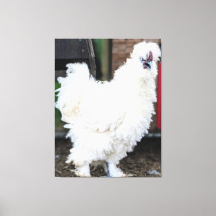 Impressão Em Tela Frango Branco Fofinho ao Ar Livre