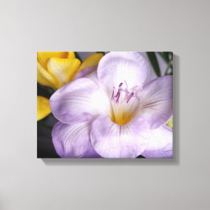 Impressão Em Tela freesia violeta aberta