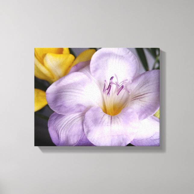 Impressão Em Tela freesia violeta aberta (Frente)