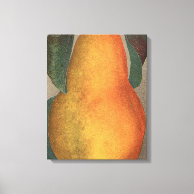 Impressão Em Tela Fruta Cromo Lithógrafo de Bartlett Pear (Frente)