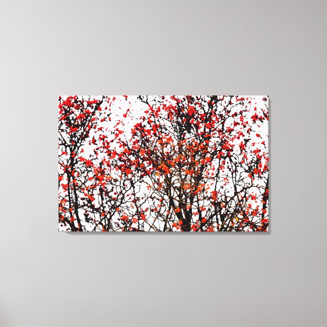 Impressão Em Tela Frutas ruivas ou amoras de cinzas (Frente)