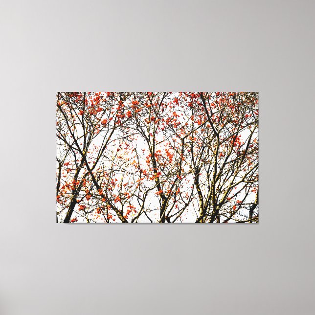 Impressão Em Tela Frutas ruivas ou amoras de cinzas (Frente)