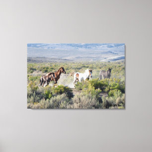 Impressão Em Tela Funcione livre para sempre