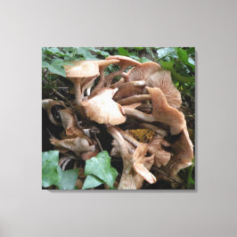 Impressão Em Tela Fungus marches forward