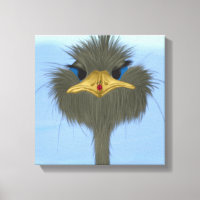 Funny Ostrich George E O Bonitinho Ladybug