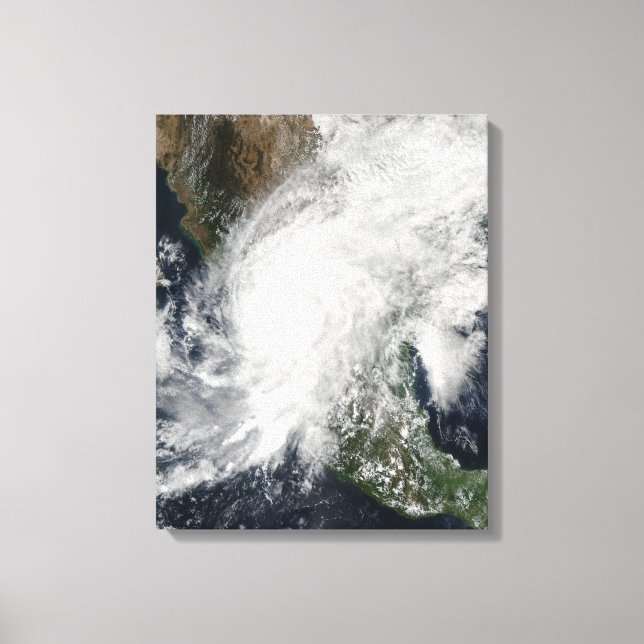 Impressão Em Tela Furacão Kenna (Frente)