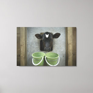 Impressão Em Tela Gado, caneta individual