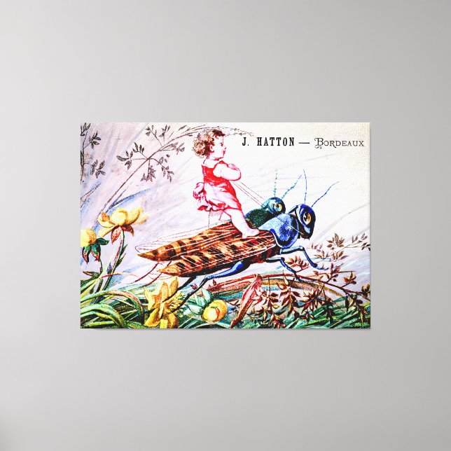 Impressão Em Tela Gafanhotos-do-rio-criança (Frente)