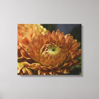 Impressão Em Tela Galeria de Tela Moderna – Arte Elegante para Qualq
