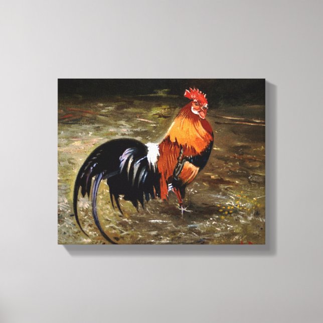 Impressão Em Tela Gallo/Galo/Rooster (Frente)