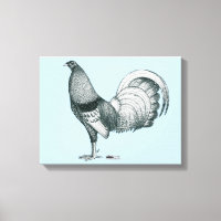 Gamecock Crele ou Dom