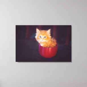 Impressão Em Tela Gatinho alaranjado em uma caneca vermelha