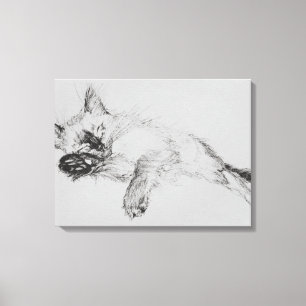 Impressão Em Tela Gatinho 'Baby