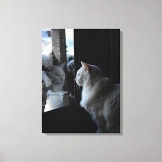 Impressão Em Tela Gatinho Branca de Neve