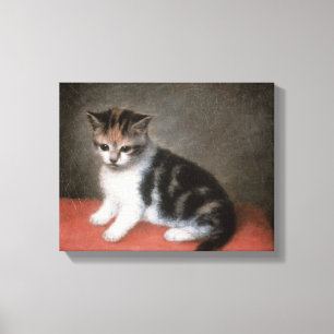 Impressão Em Tela Gatinho de George Stubbs da senhorita Ann