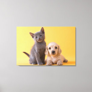 Impressão Em Tela Gatinho do russo e filhote de cachorro azuis do