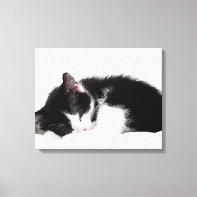 Impressão Em Tela Gatinho Dormindo (Frente)