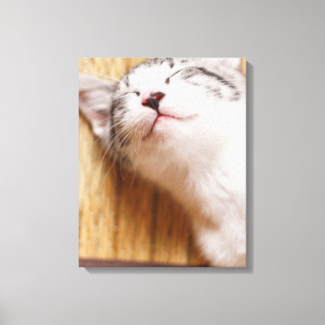 Impressão Em Tela Gatinho Dormindo (Frente)