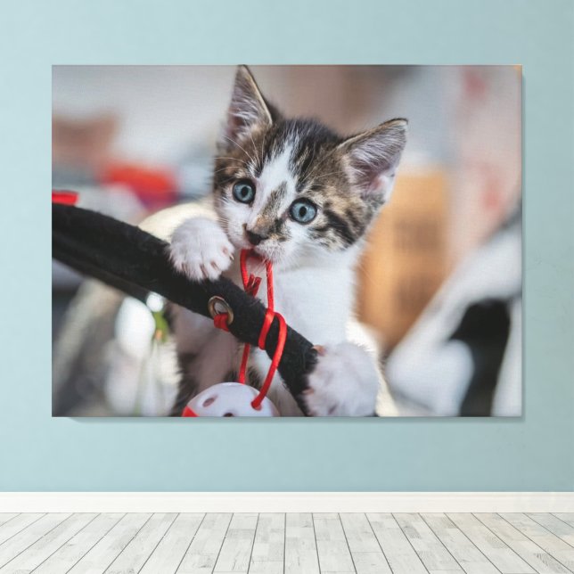 Impressão Em Tela gatinho e bola (Insitu(piso de madeira))