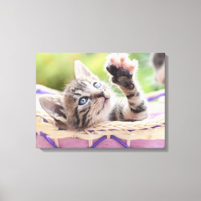 Impressão Em Tela Gatinho Em Uma Cesta (Frente)